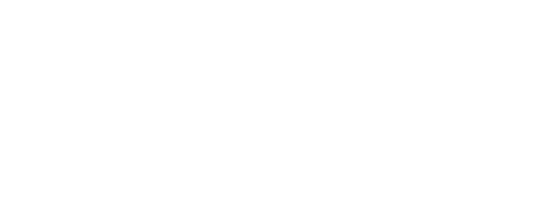 Leap Motor